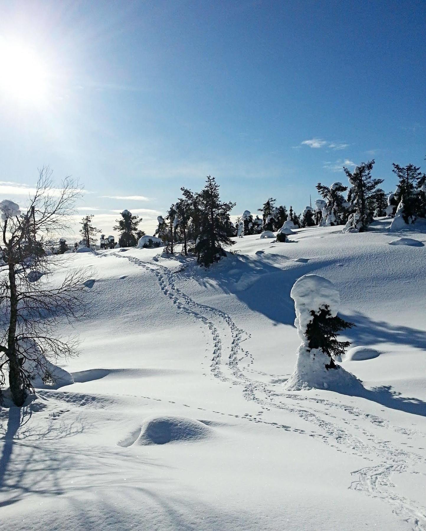 Seita Moekki, Aekaeslompolo Villa ภายนอก รูปภาพ